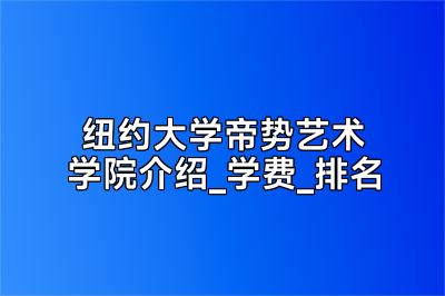 纽约大学帝势艺术学院介绍_学费_排名