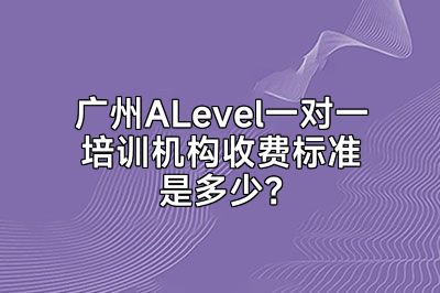 广州ALevel一对一培训机构收费标准是多少？