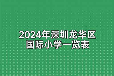2024年深圳龙华区国际小学一览表