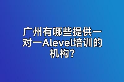 广州有哪些提供一对一Alevel培训的机构？