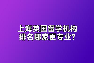 上海英国留学机构排名哪家更专业？