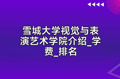 雪城大学视觉与表演艺术学院介绍_学费_排名