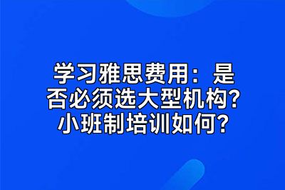 学习雅思费用：是否必须选大型机构？小班制培训如何？