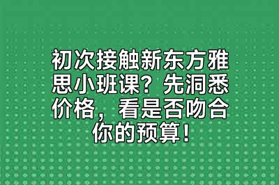 初次接触新东方雅思小班课？先洞悉价格，看是否吻合你的预算！