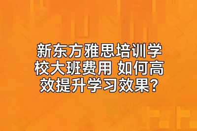 新东方雅思培训学校大班费用 如何高效提升学习效果？