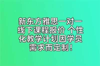 新东方雅思一对一线下课程报价 个性化教学计划因学员需求而定制！