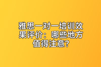 雅思一对一培训效果评价：哪些地方值得注意?