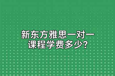 新东方雅思一对一课程学费多少？