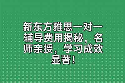 新东方雅思一对一辅导费用揭秘，名师亲授，学习成效显著！