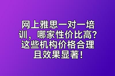 网上雅思一对一培训，哪家性价比高？这些机构价格合理且效果显著！