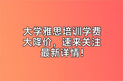 大学雅思培训学费大降价，速来关注最新详情！