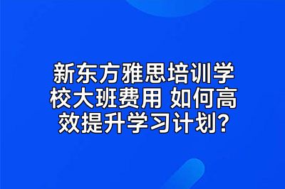 新东方雅思培训学校大班费用 如何高效提升学习计划?