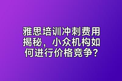 雅思培训冲刺费用揭秘，小众机构如何进行价格竞争？