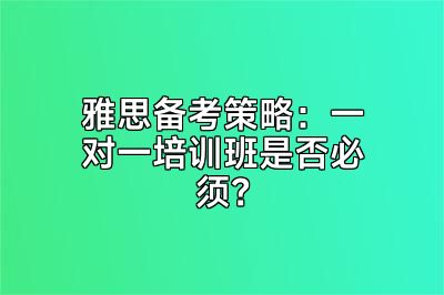 雅思备考策略：一对一培训班是否必须？