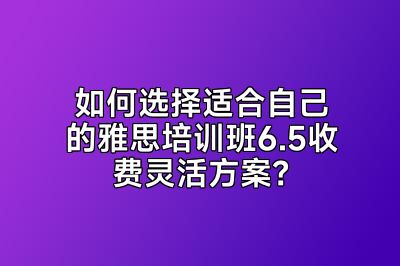 如何选择适合自己的雅思培训班6.5收费灵活方案？