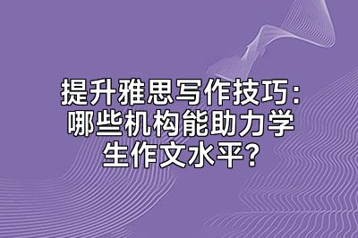 提升雅思写作技巧：哪些机构能助力学生作文水平？