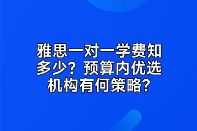 雅思一对一学费知多少？预算内优选机构有何策略？