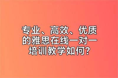 专业、高效、优质的雅思在线一对一培训教学如何？