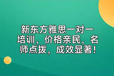 新东方雅思一对一培训，价格亲民，名师点拨，成效显著！